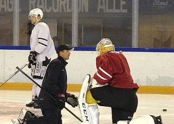 Description de l'image