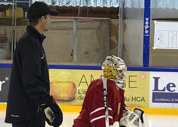 Description de l'image