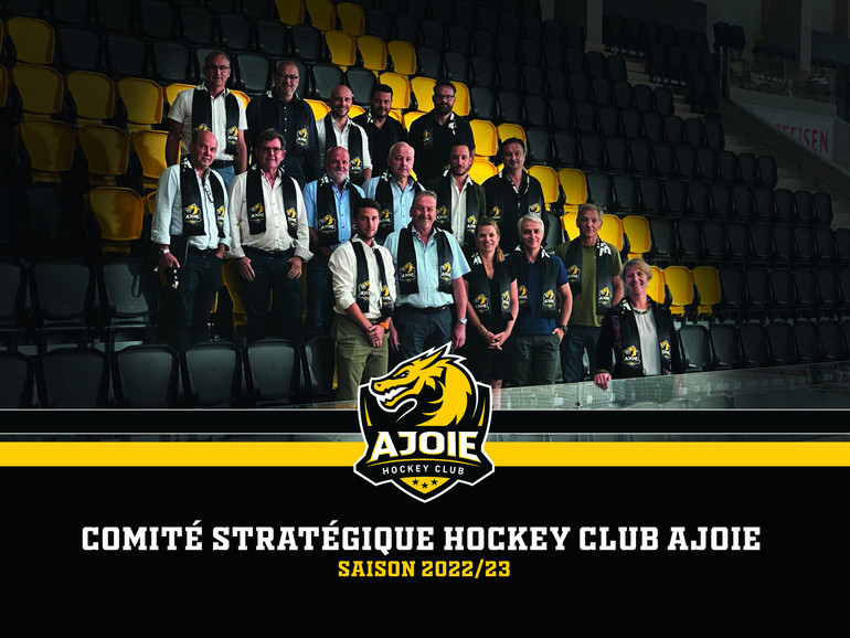 comité stratégique dans la tribune