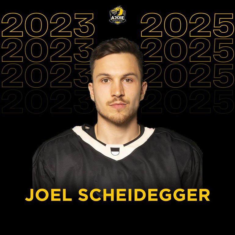 scheidegger