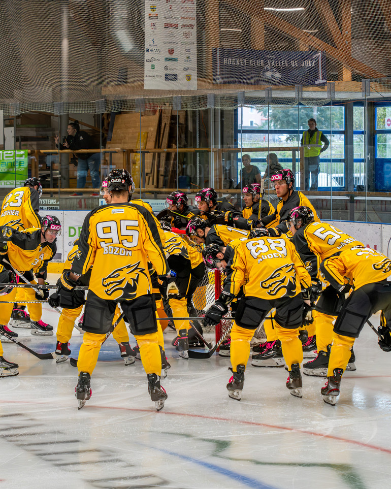 Ajoie s'impose face à loewen Francfort