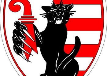 Les Panthères recrutent