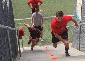 Les marches du succès