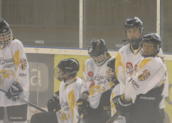 Interview d'Hervé Baour, co-président du MOJU