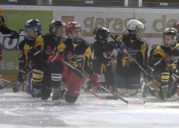 L'interview de Sophie Dandois