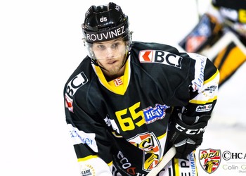 Description de l'image