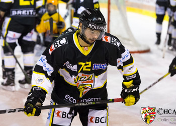 Description de l'image