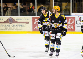 Description de l'image