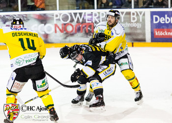 Description de l'image