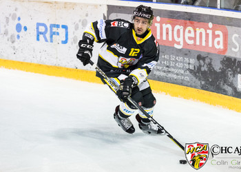 Description de l'image