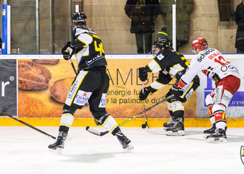 Description de l'image