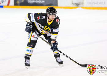 Description de l'image