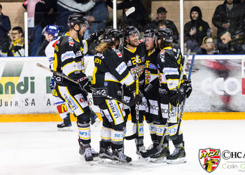 Ajoie ne fait qu'une bouchée des Lionceaux zurichois