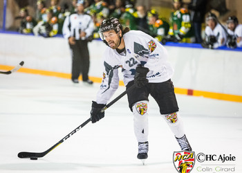 Description de l'image