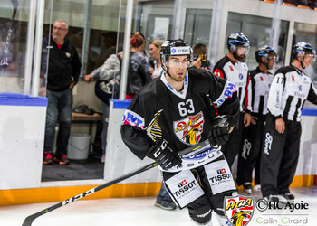 Description de l'image