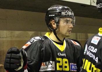 Description de l'image