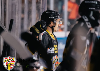 Description de l'image