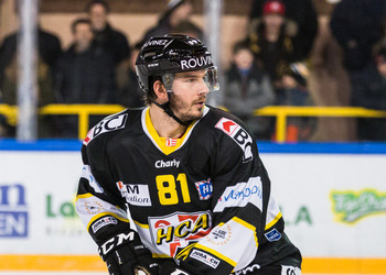 Description de l'image