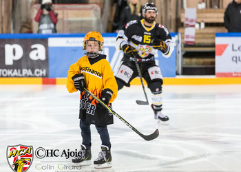 Description de l'image