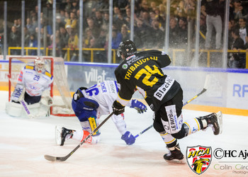 Description de l'image