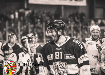 Description de l'image