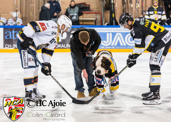 Description de l'image