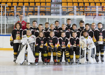 Un-e responsable catégorie pré-compétition