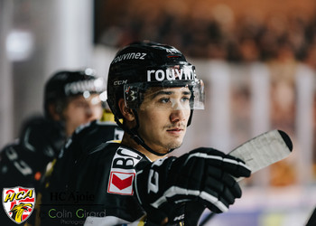 Description de l'image