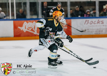 Description de l'image