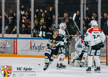 Description de l'image