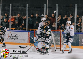 Description de l'image