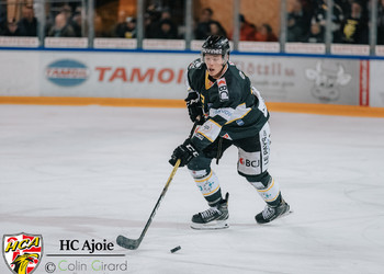 Description de l'image