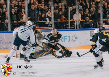 Description de l'image