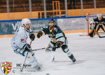 Description de l'image