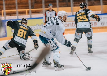 Description de l'image