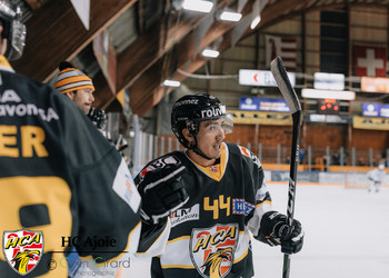 Description de l'image