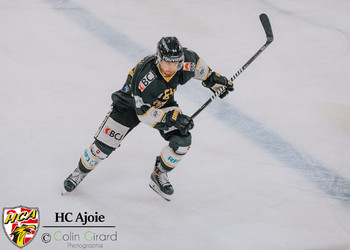 Description de l'image