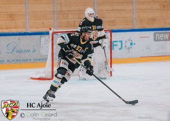 Description de l'image