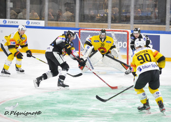 Description de l'image