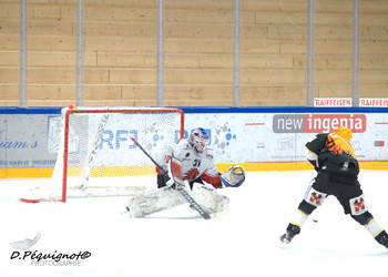 Description de l'image