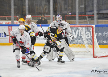 Description de l'image