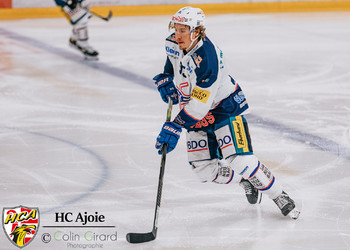 Description de l'image