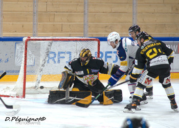 Description de l'image