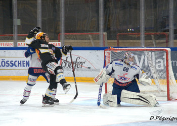 Description de l'image