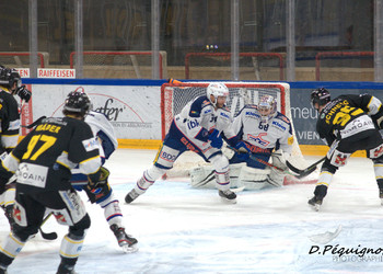 Description de l'image