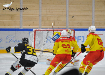 Description de l'image