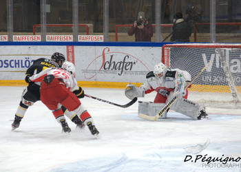 Description de l'image