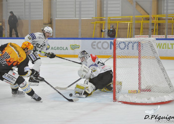 Description de l'image