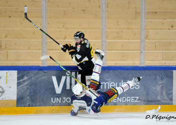 Description de l'image