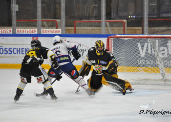 Description de l'image